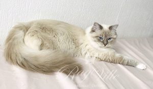 ФИкса 10 мес копия